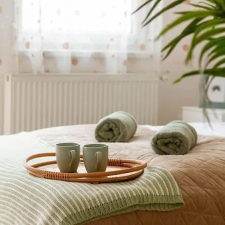 Family Lux Lounge In Voeroesmarty Street By Nw Апартаменты *